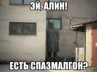 Эй, Алин! есть спазмалгон?