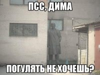 псс, дима погулять не хочешь?