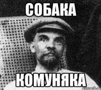 Собака Комуняка