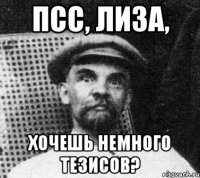 Псс, Лиза, Хочешь немного тезисов?