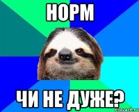 Норм чи не дуже?