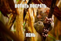 встать посрать лень