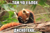 Там чо у блох дискотека...