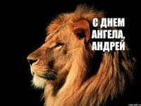С Днем Ангела, Андрей