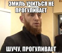 Эмиль учиться не прогуливает Шучу, прогуливает