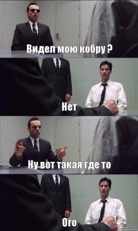 Видел мою кобру ? Нет Ну вот такая где то Ого