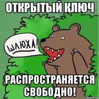 Открытый ключ Распространяется свободно!