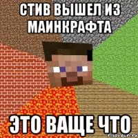 cтив вышел из маинкрафта это ваще что