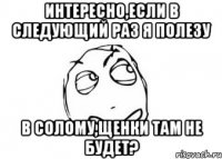 интересно,если в следующий раз я полезу в солому,щенки там не будет?