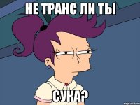 НЕ ТРАНС ЛИ ТЫ СУКА?