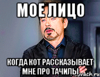 мое лицо когда кот рассказывает мне про тачилы