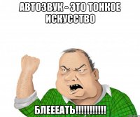 Автозвук - это тонкое искусство Блеееать!!!!!!!!!!!