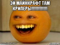 эй майнкрафт там криперы!!!!!!!!!!!! 