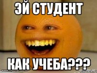 Эй студент как учеба???