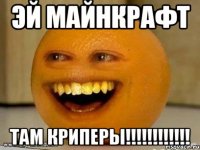 эй майнкрафт там криперы!!!!!!!!!!!!