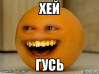 Хей Гусь