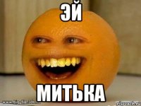 эй митька