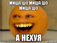 миша шо миша шо миша шо а нехуя