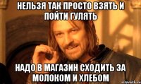 нельзя так просто взять и пойти гулять надо в магазин сходить за молоком и хлебом