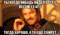 Ты когда нибудь видел кота с весом 23 кг? Тогда хорошо, а то ещё сожрет