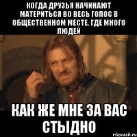 когда друзья начинают материться во весь голос в общественном месте, где много людей как же мне за вас стыдно