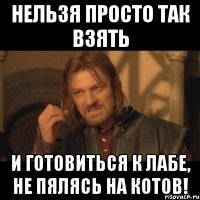 Нельзя просто так взять и готовиться к лабе, не пялясь на котов!