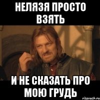 Нелязя просто взять и не сказать про мою грудь