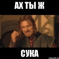 ах ты ж сука