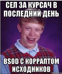 Сел за курсач в последний день BSOD с корраптом исходников