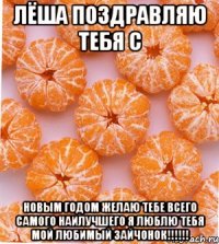 Лёша поздравляю тебя с Новым годом желаю тебе всего самого наилучшего я люблю тебя мой любимый зайчонок!!!!!!