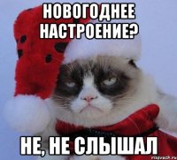 Новогоднее настроение? не, не слышал