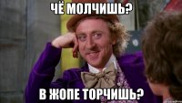 ЧЁ МОЛЧИШЬ? В ЖОПЕ ТОРЧИШЬ?