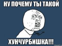 ну почему ты такой ХУНЧУРБИШКА!!!