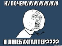 Ну почемууууууууууууу я лжебухгалтер????