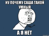 ну почему Саша такой умный а я нет