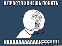 А ПРОСТО ХОЧЕШЬ ПОНЯТЬ КАААААААААААК???!!!!!