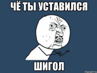 Чё ты уставился Шигол