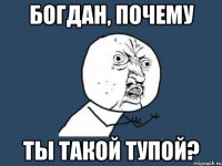 богдан, почему ты такой тупой?