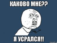 Каково мне?? Я усрался!!