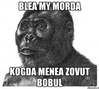 Blea my morda kogda menea zovut bobul