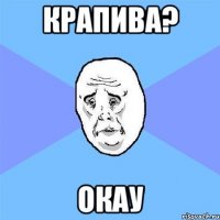 Крапива? окау