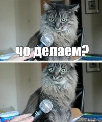 чо делаем? что?