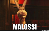  Malossi