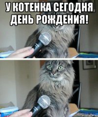 У котенка сегодня День Рождения! 