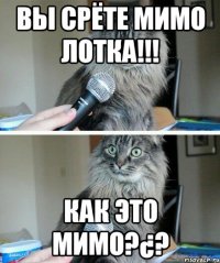 вы срёте мимо лотка!!! как это мимо?¿?