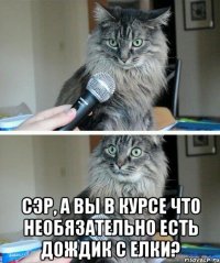  Сэр, а вы в курсе что необязательно есть дождик с елки?