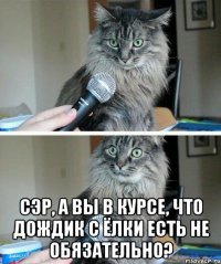  Сэр, а Вы в курсе, что дождик с ёлки есть не обязательно?