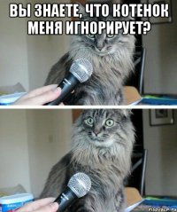 Вы знаете, что котенок меня игнорирует? 