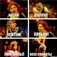 хаски! доберы! улитки! хорьки! пингвины! ВСЕХ СНИМАТЬ!