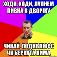 ходи, ходи, лупнем пивка в дворіку чикай, подивлюсє чи беркута нима